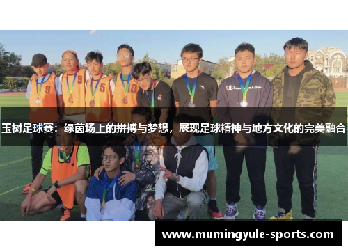 玉树足球赛：绿茵场上的拼搏与梦想，展现足球精神与地方文化的完美融合