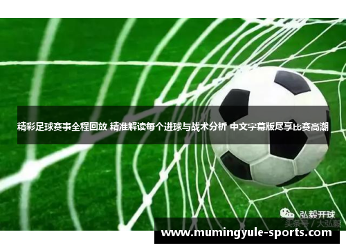 精彩足球赛事全程回放 精准解读每个进球与战术分析 中文字幕版尽享比赛高潮
