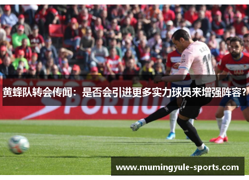 黄蜂队转会传闻：是否会引进更多实力球员来增强阵容？