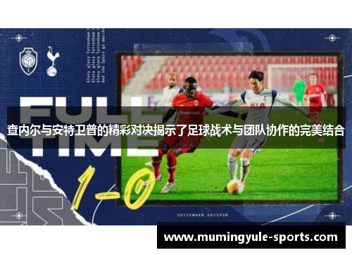 查内尔与安特卫普的精彩对决揭示了足球战术与团队协作的完美结合